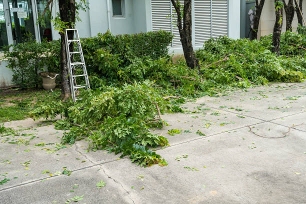 Best Hedge Trimming  in Hummelstown, PA